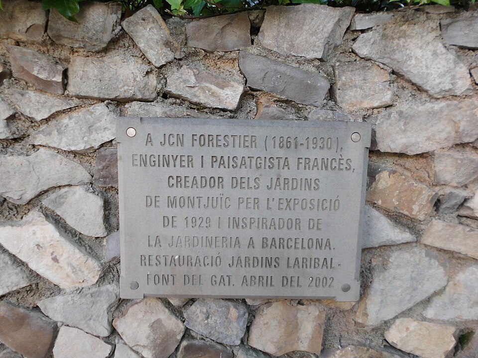 Projecte Forestier