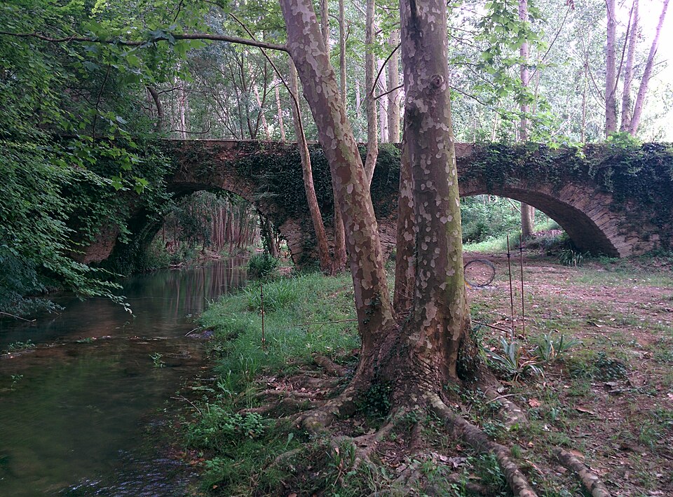 Pont de Mas Riera