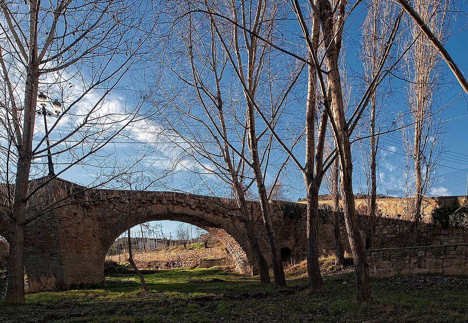 Pont de Sanaüja