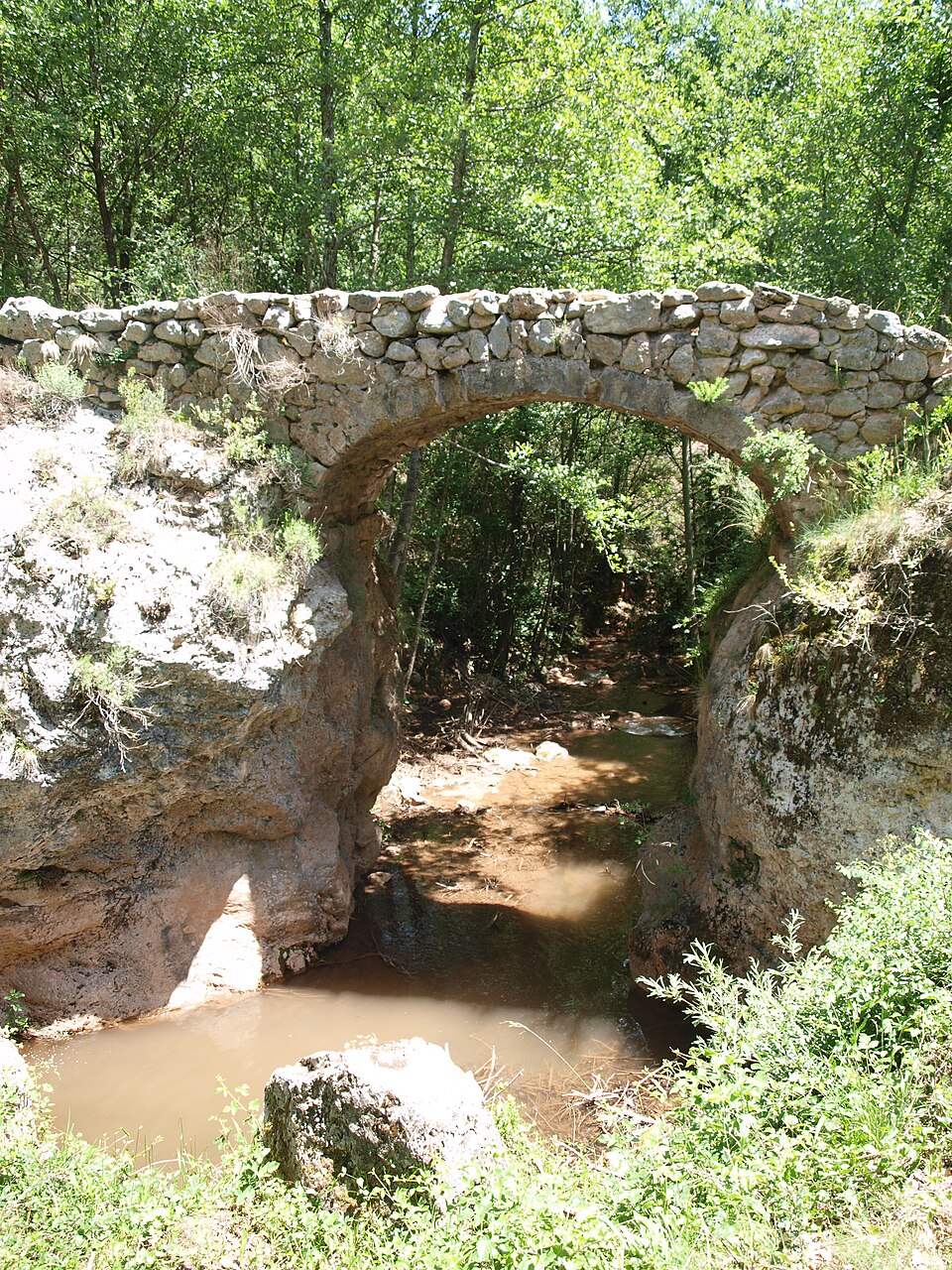 Pont de Sant Julià dels Garrics