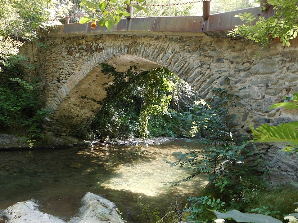 Pont del Coronel