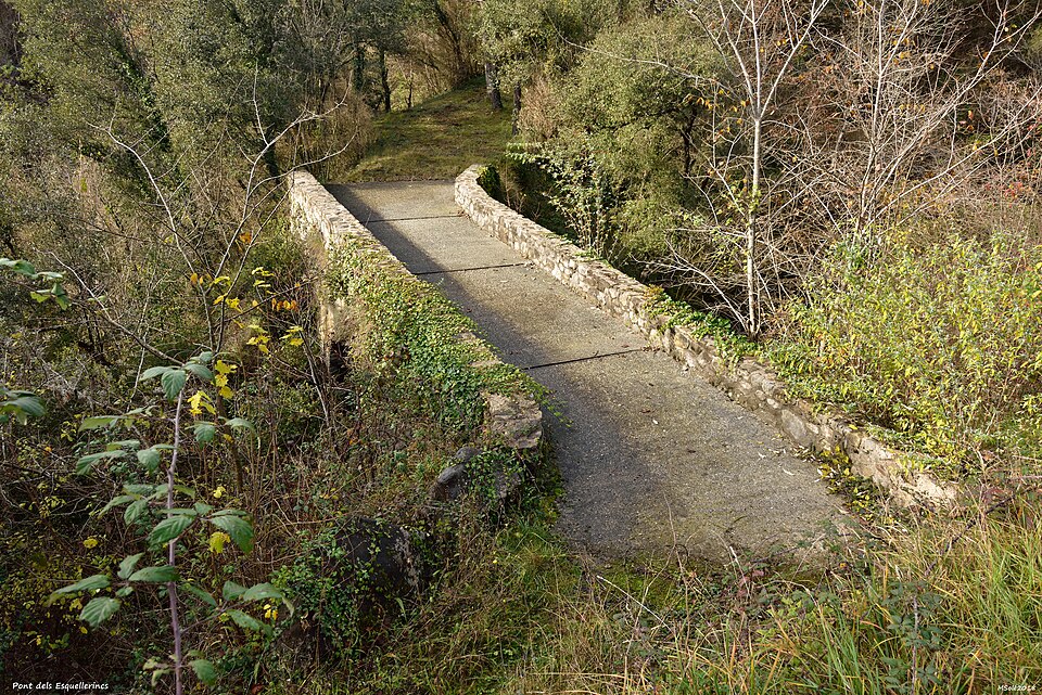 Pont dels Esquellerincs