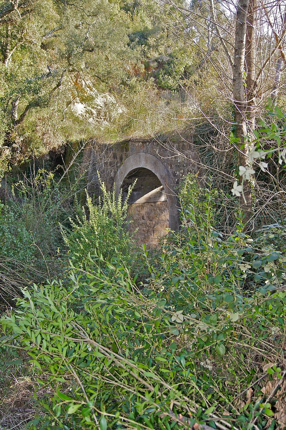 Pont Rodó