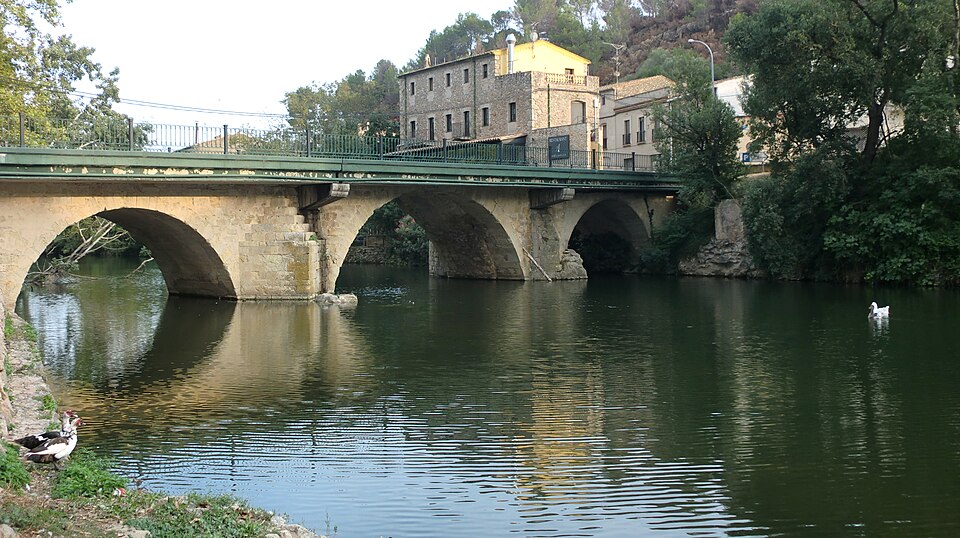 Pont Vell (Pont de Molins)