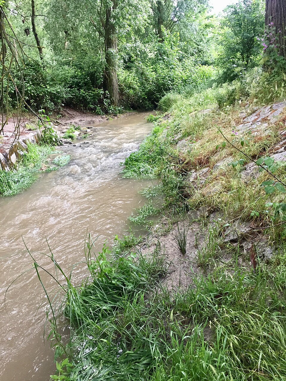 Puente del Alamo Negro