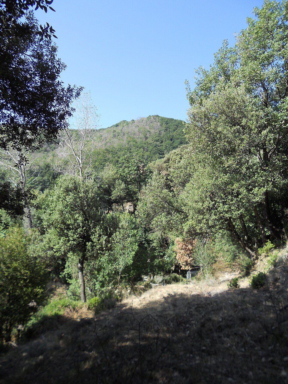 Puig Satoies