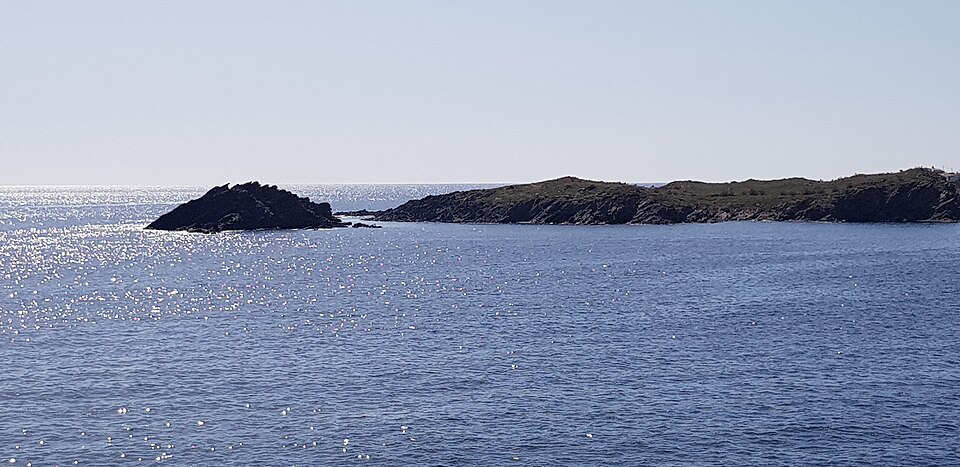 Sa Farnera
