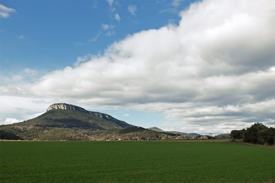 Sant Roc d'Amer