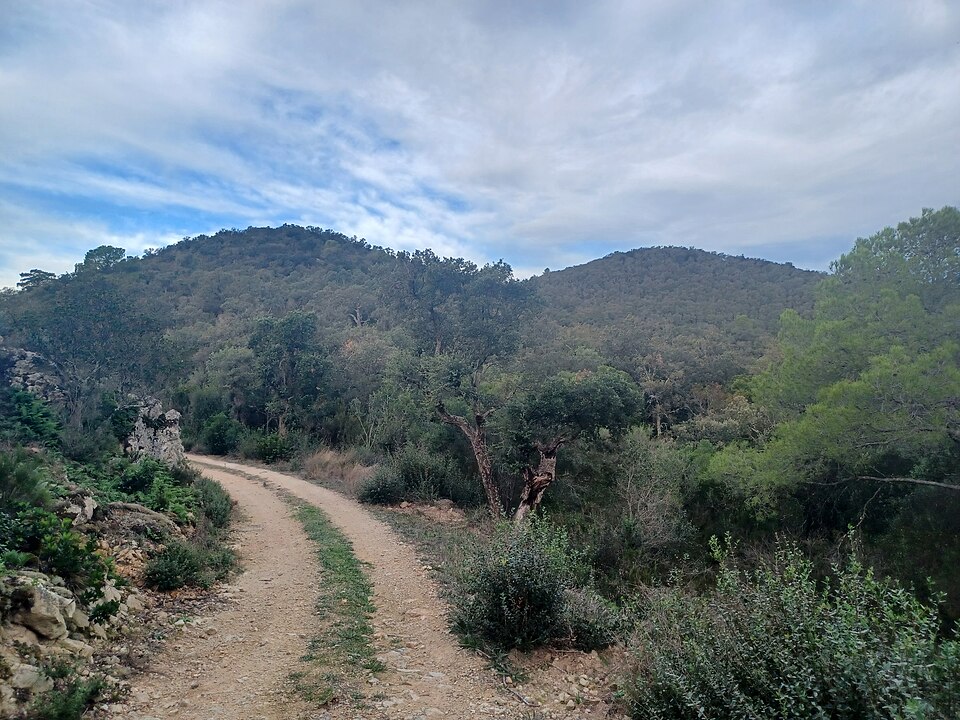 Serra del Suro Robat
