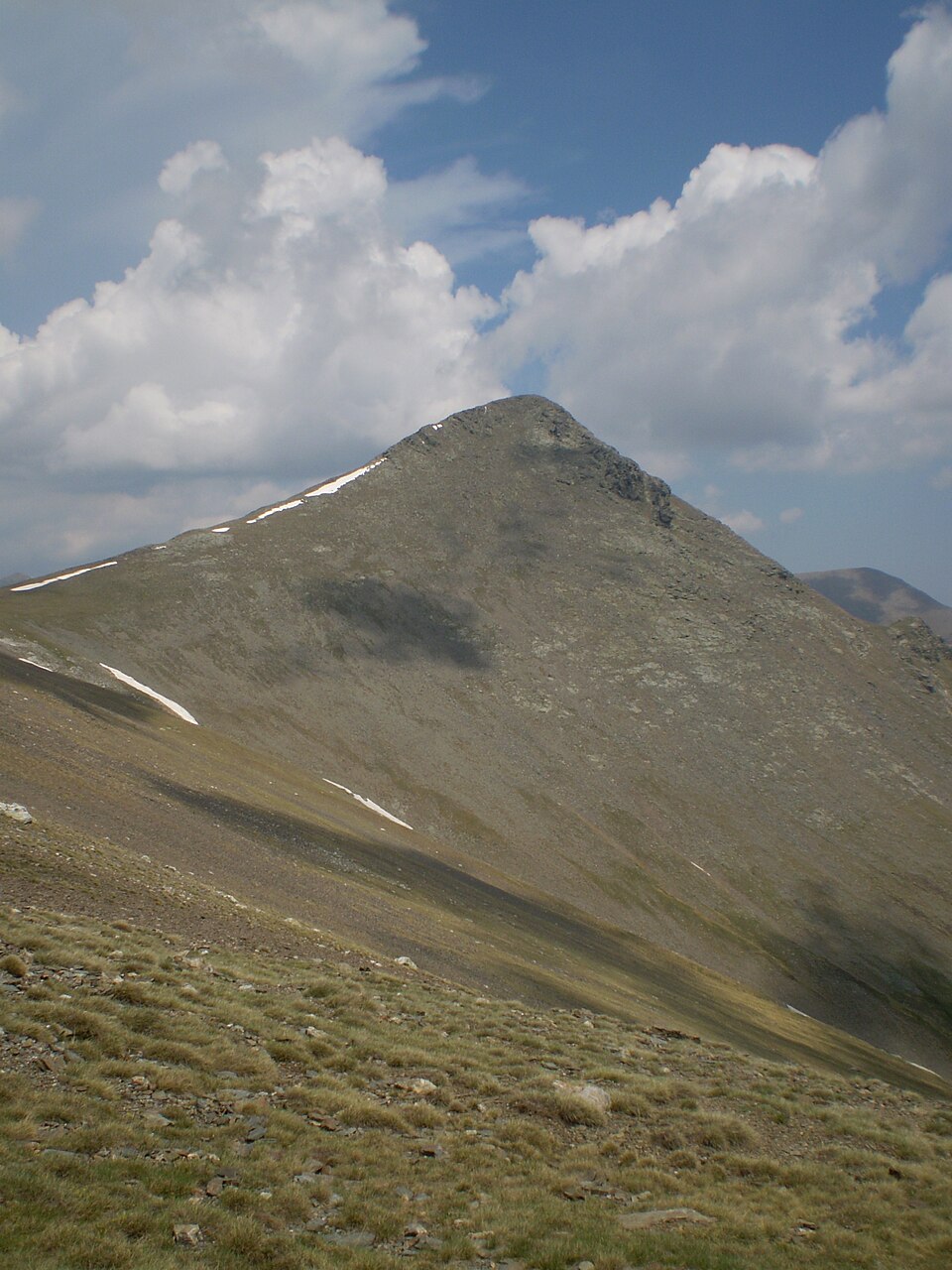 Torreneules