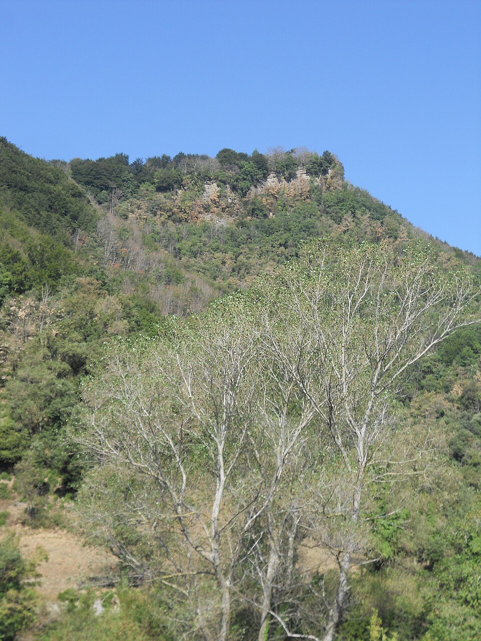 Tossa de Pibernat