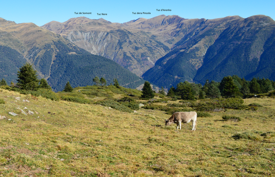 Tuc dera Pincèla
