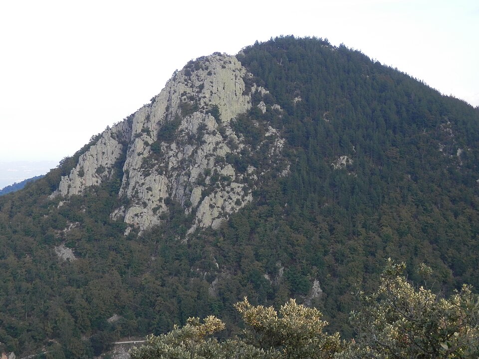 Turó d'Arenys