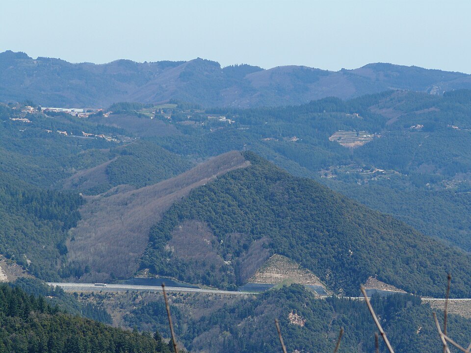 Turó d'en Puig