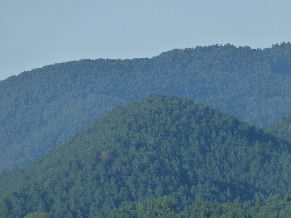 Turó d'Estiuella
