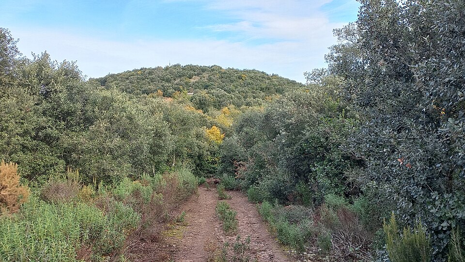 Turó de Can Xarabau