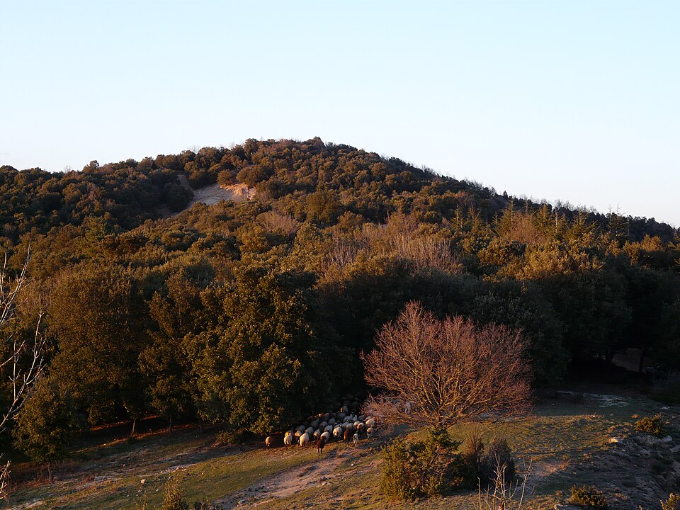 Turó de la Tremoleda