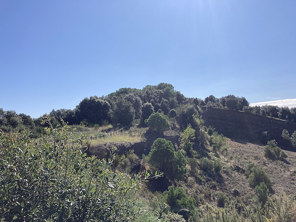 Turó de Sant Llop
