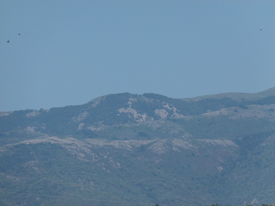 Turó del Mig