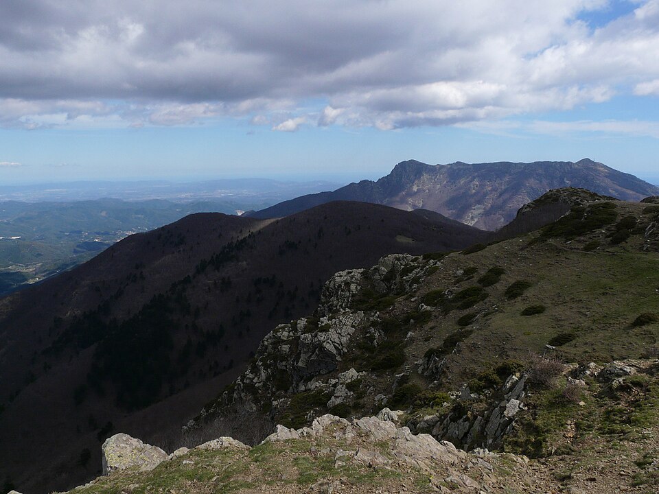 Turó Sesportadores