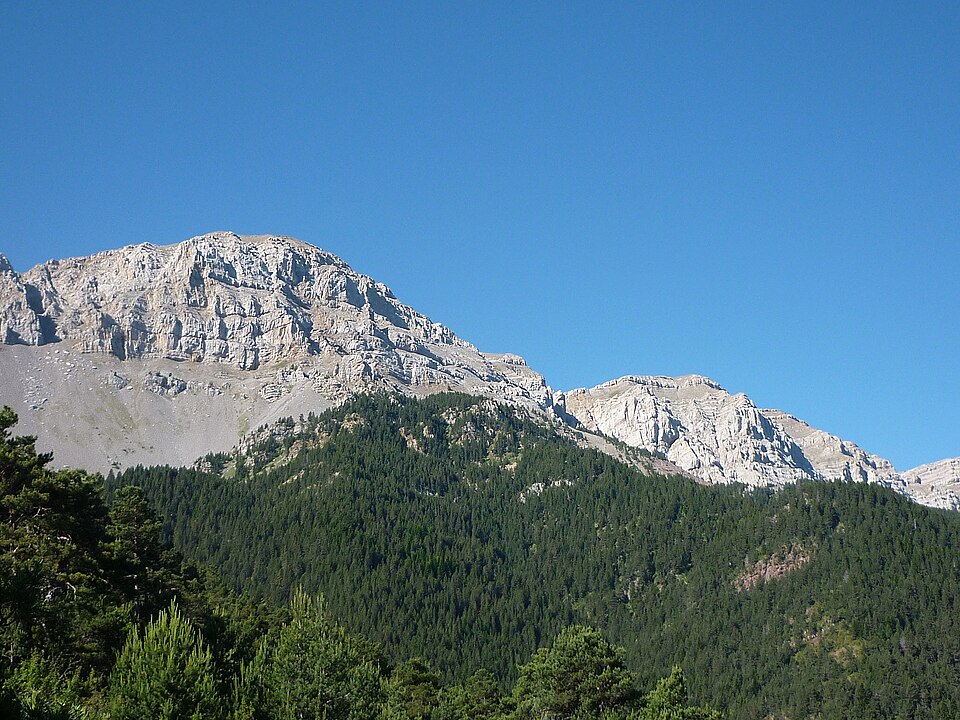 Vulturó