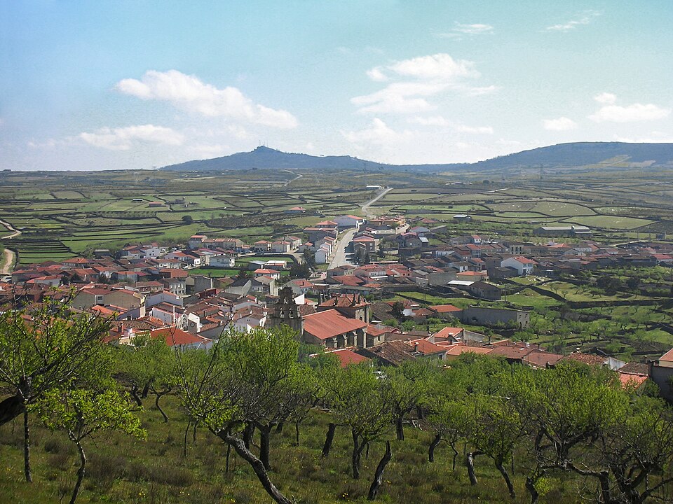 Vilvestre
