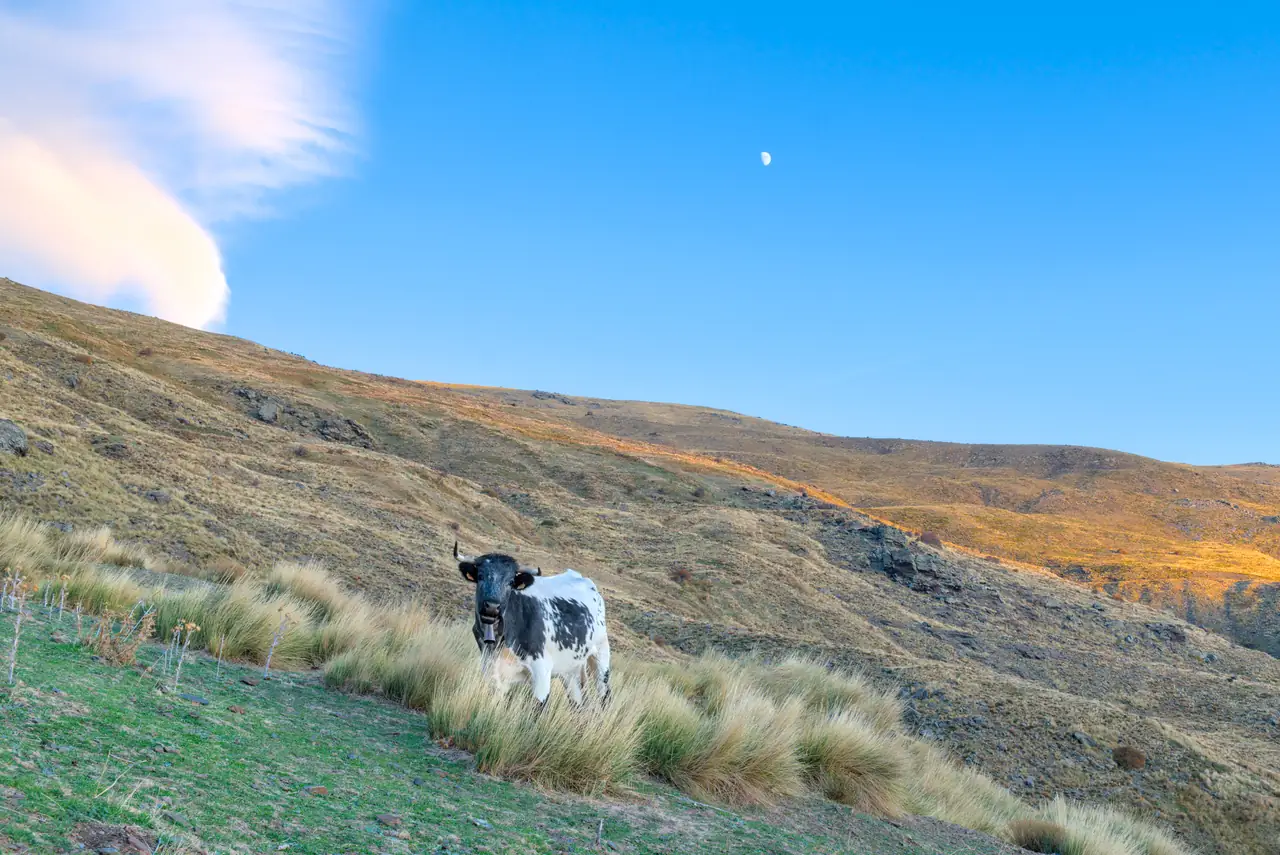 Parque Nacional de Sierra Nevada