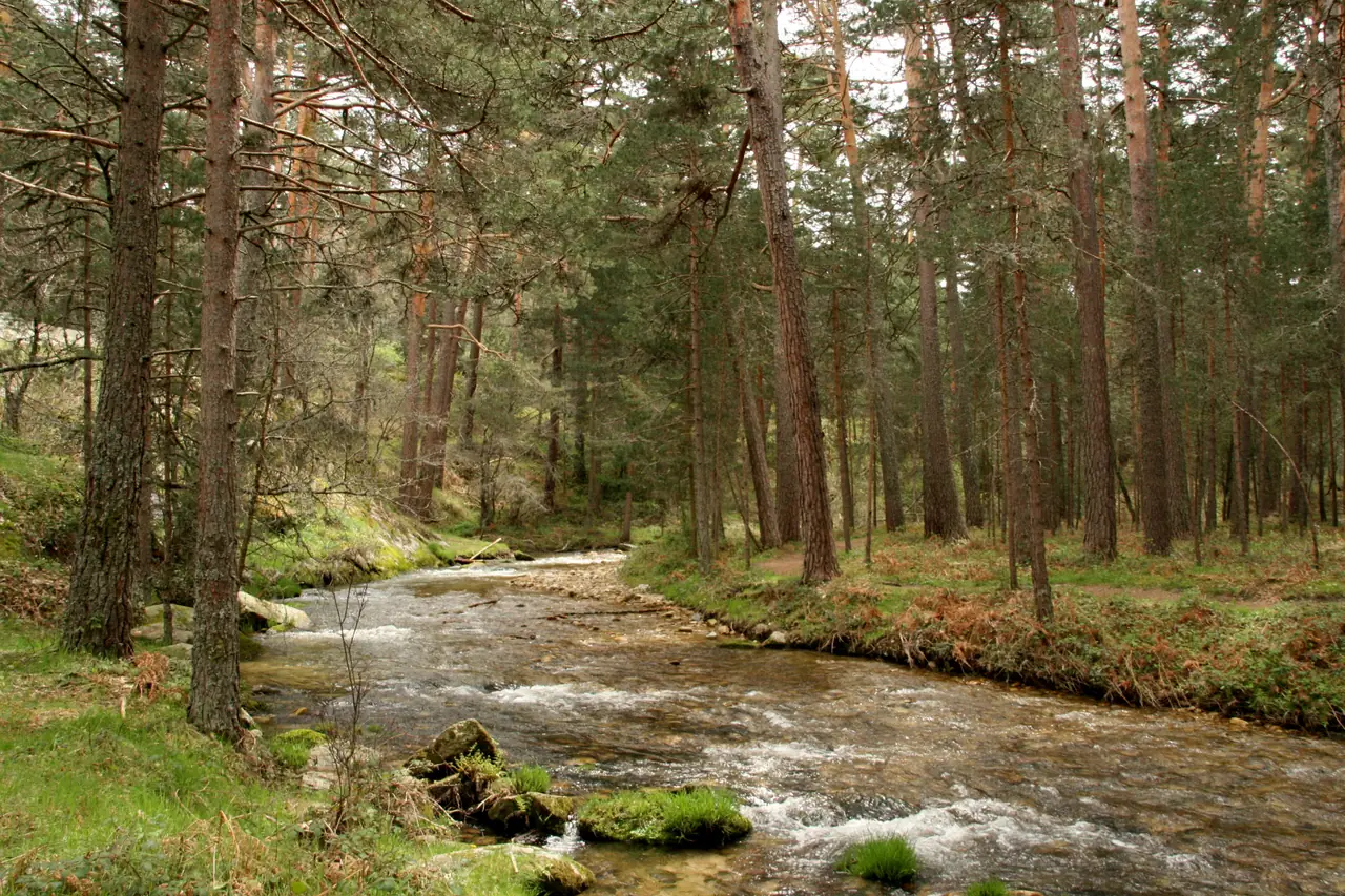 Parque Natural de la Sierra de Guadarrama Norte