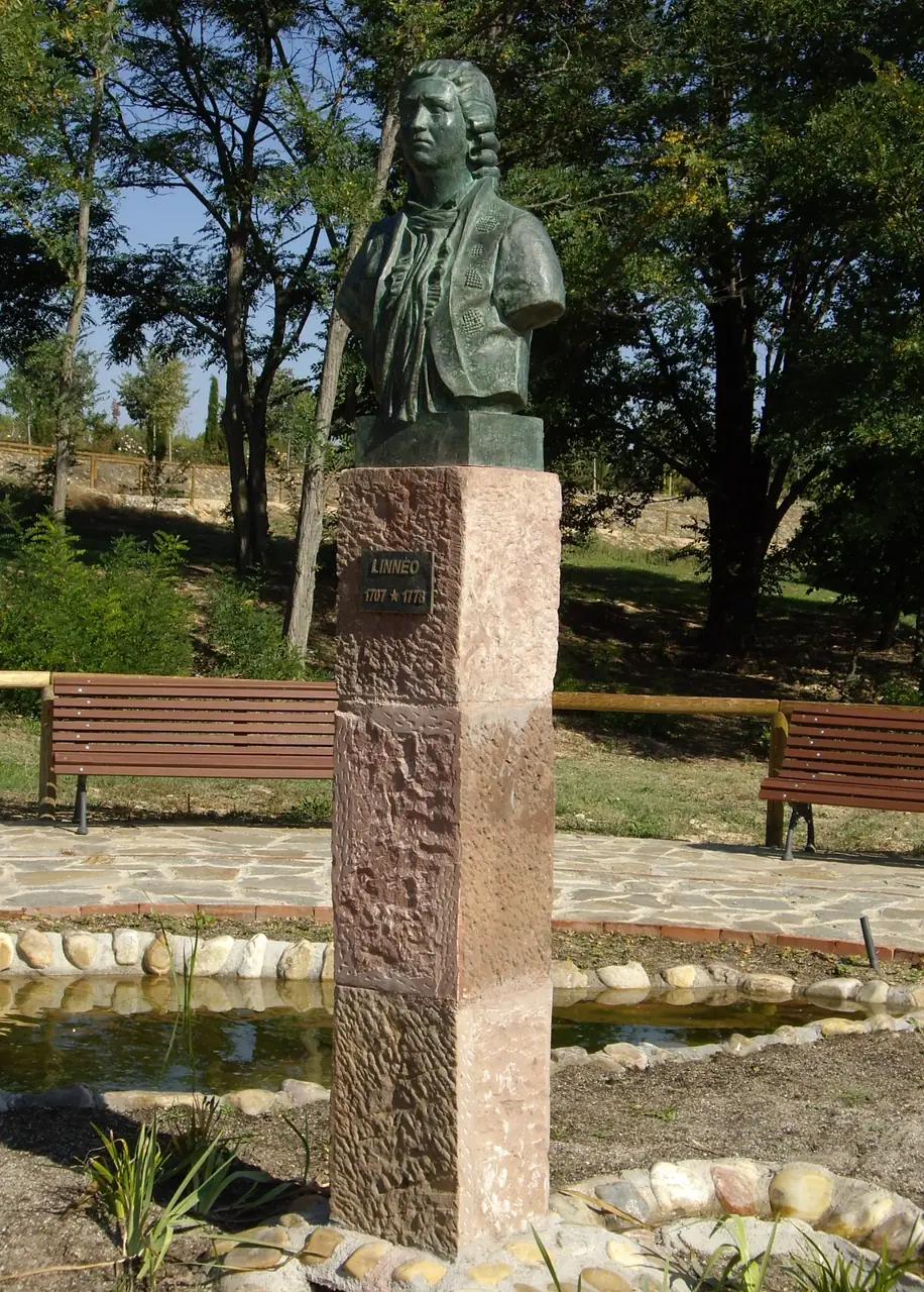 Mirador del Arboreto