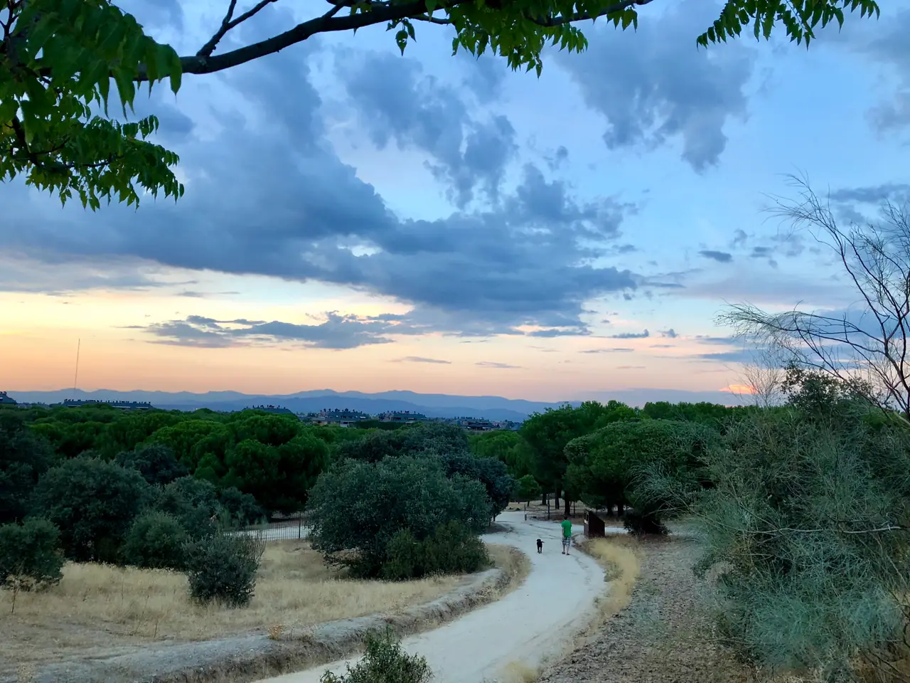 Mirador del Cotoblanco