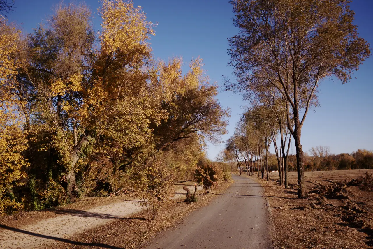 Parque Lineal del Manzanares