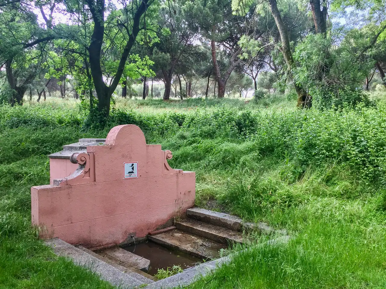 Fuente del Zarzón de Cádiz