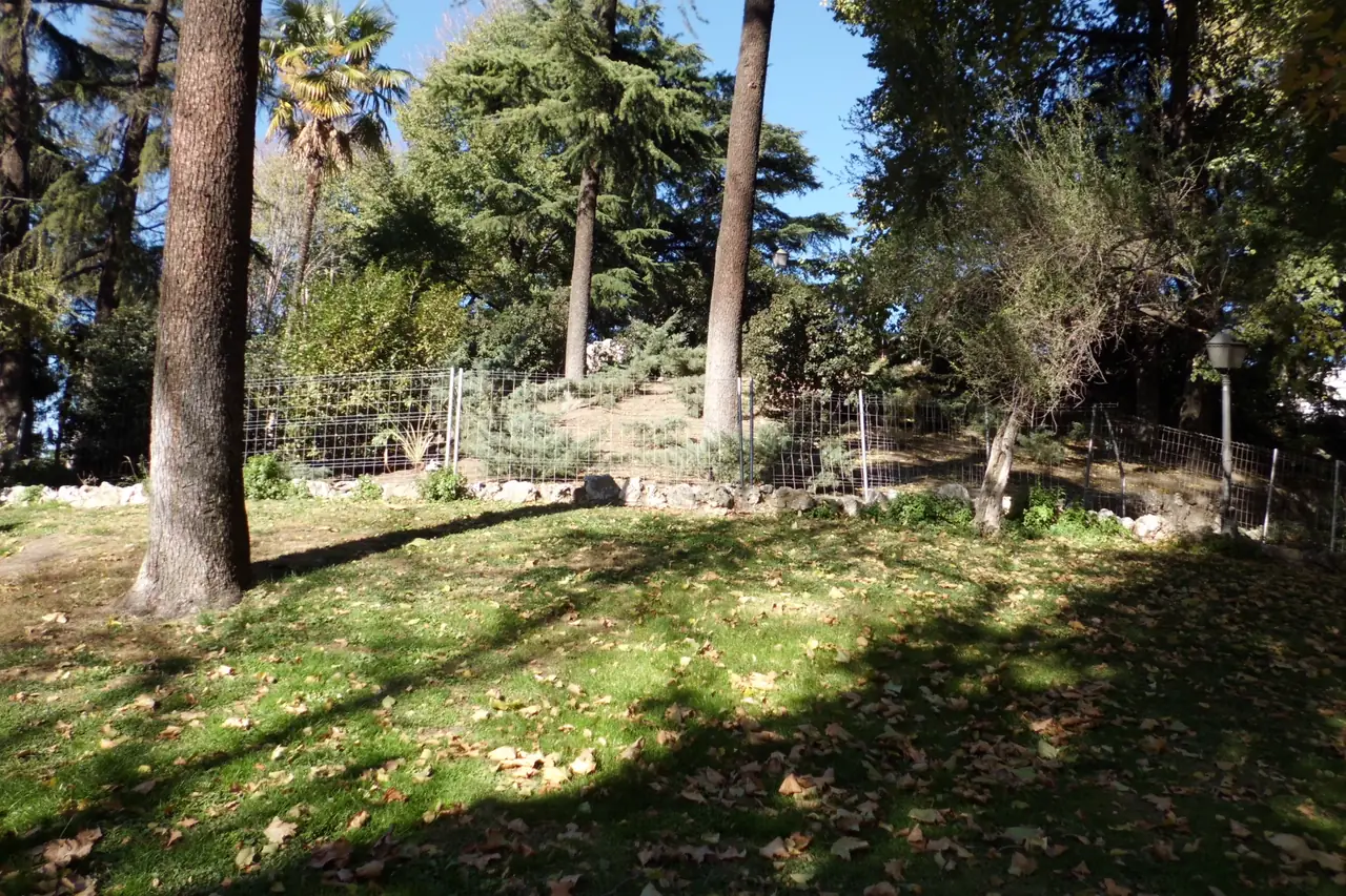 Montaña de los gatos