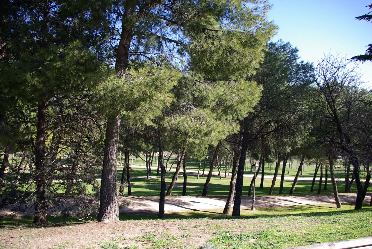 Mirador de Parquesur