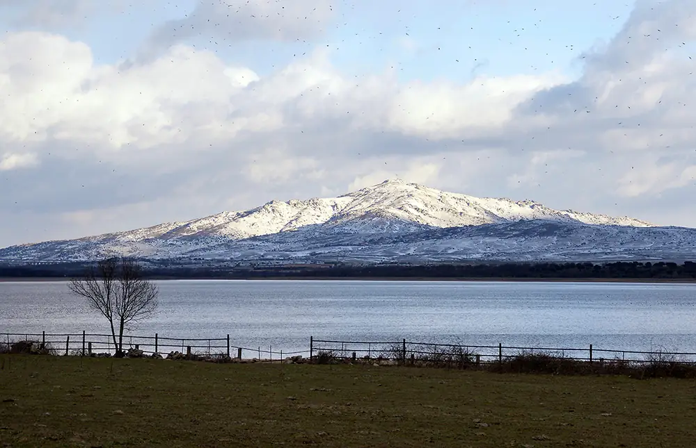Cerro de San Pedro