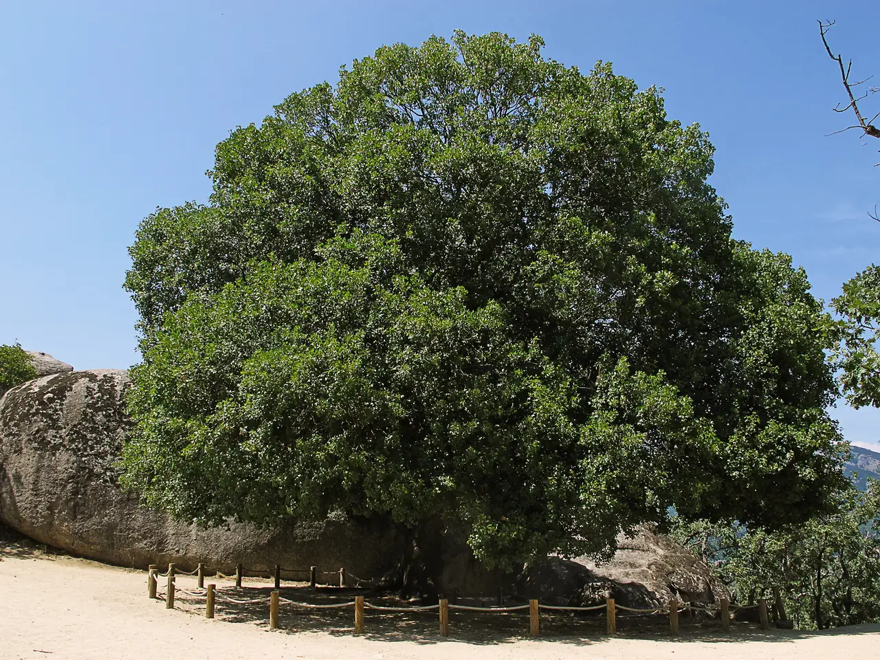Mirador Los Ermitaños I