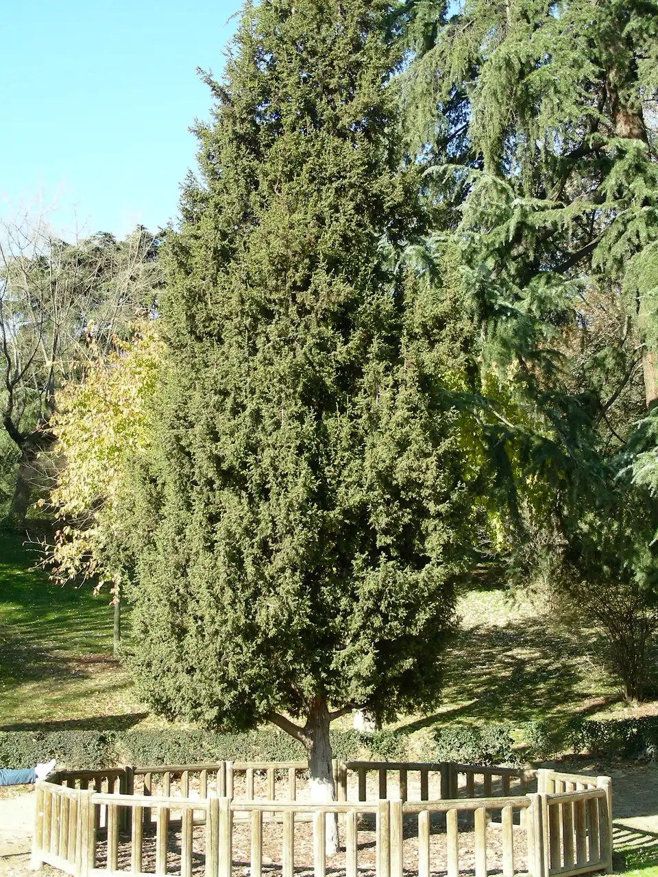 Parque de la Quinta de la Fuente del Berro